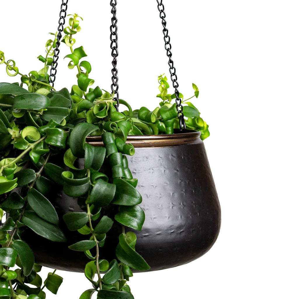 Sahara Hanging Plant Pot - Slate 8 Sahara Hanging Plant Pot - Slate - Image 8