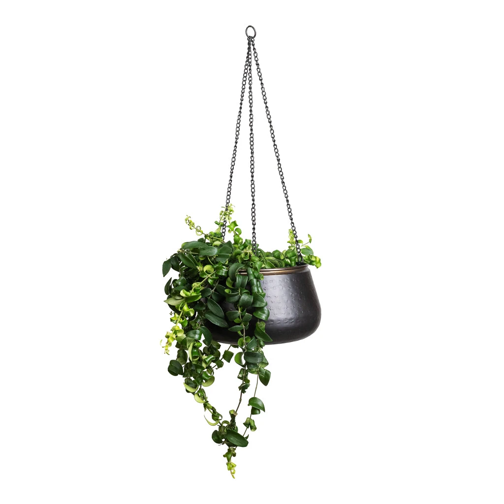 Sahara Hanging Plant Pot - Slate 4 Sahara Hanging Plant Pot - Slate - Image 4