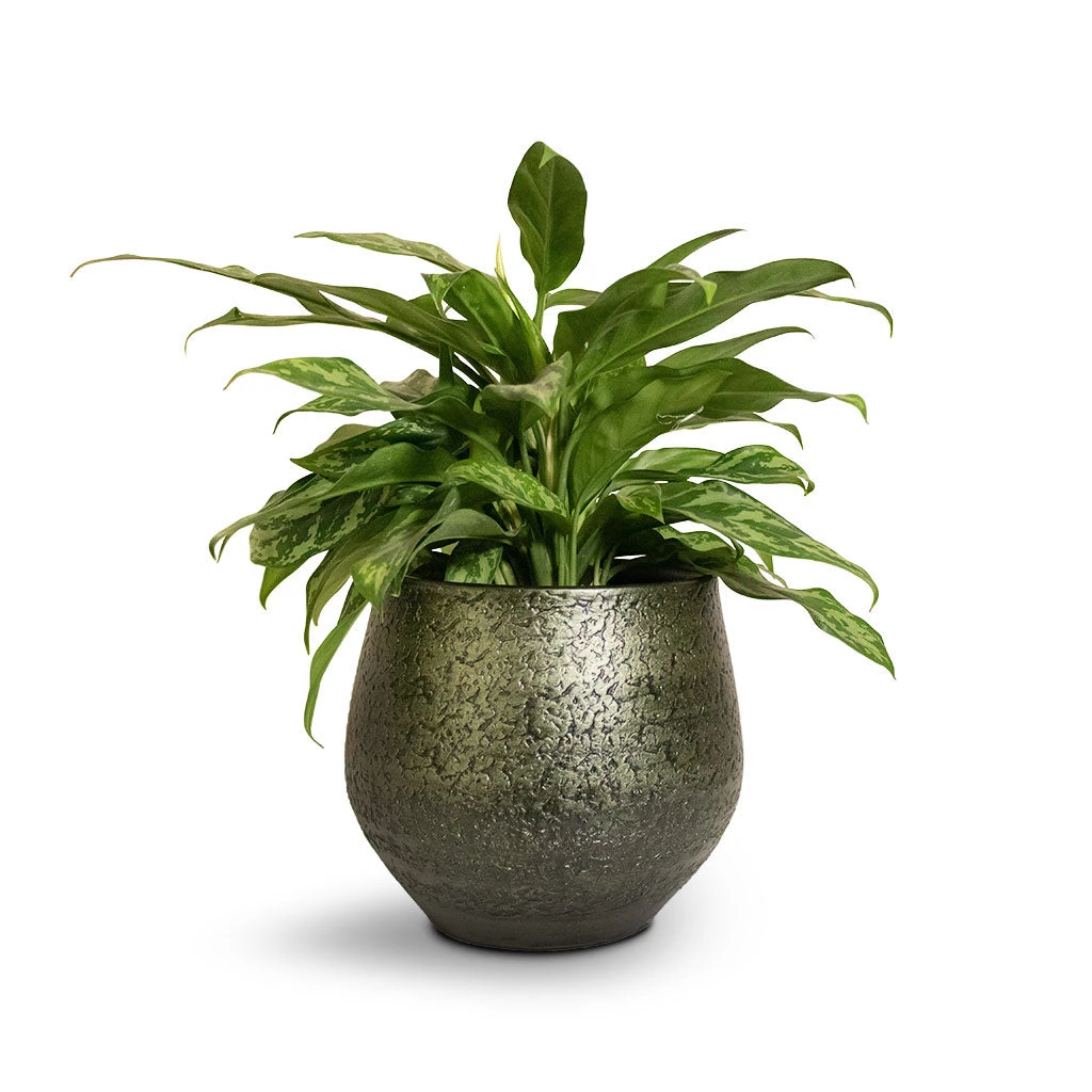 Noor Plant Pot - Velvet Green 2 Noor Plant Pot - Velvet Green - Image 2