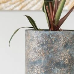 Aily Plant Pot - Earth Cement -HORTOLOGY Plants Sale Aily Anthracite 2