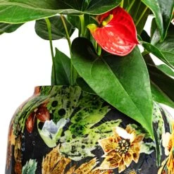 Lammie Planter - Berry Blue -HORTOLOGY Plants Sale Anthurium Flamingo Flower Royal Red Lammie Planter Berry Blue DETAIL 1