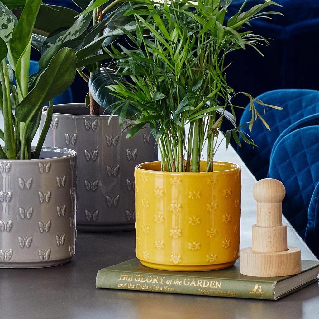 Arley Plant Pot - Yellow Bee 2 Arley Plant Pot - Yellow Bee - Image 2