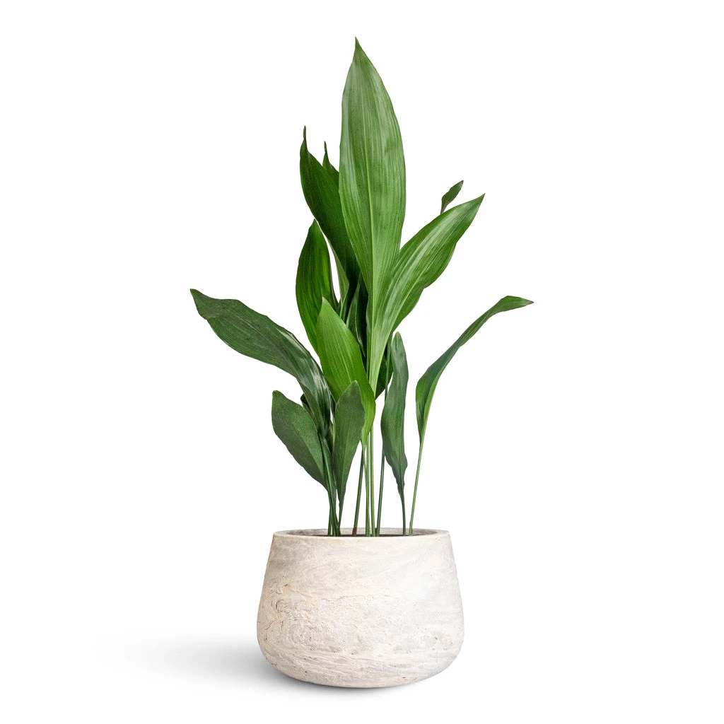Algar Darcy Planter - White 2 Algar Darcy Planter - White - Image 2