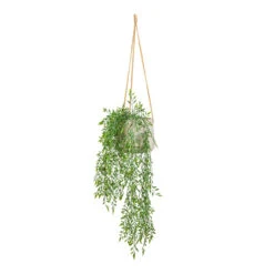 Patt Grey Washed Fibreclay Hanging Plant Pot β Rugged Tapered Indoor & Outdoor Planter 25 Patt Grey Washed Fibreclay Hanging Plant Pot β Rugged Tapered Indoor & Outdoor Planter -HORTOLOGY Plants Sale Bamboo Mixed Hanging Bush UV Resistant Artificial 80cm Patt Hanging Pot Grey Washed 20x17cm