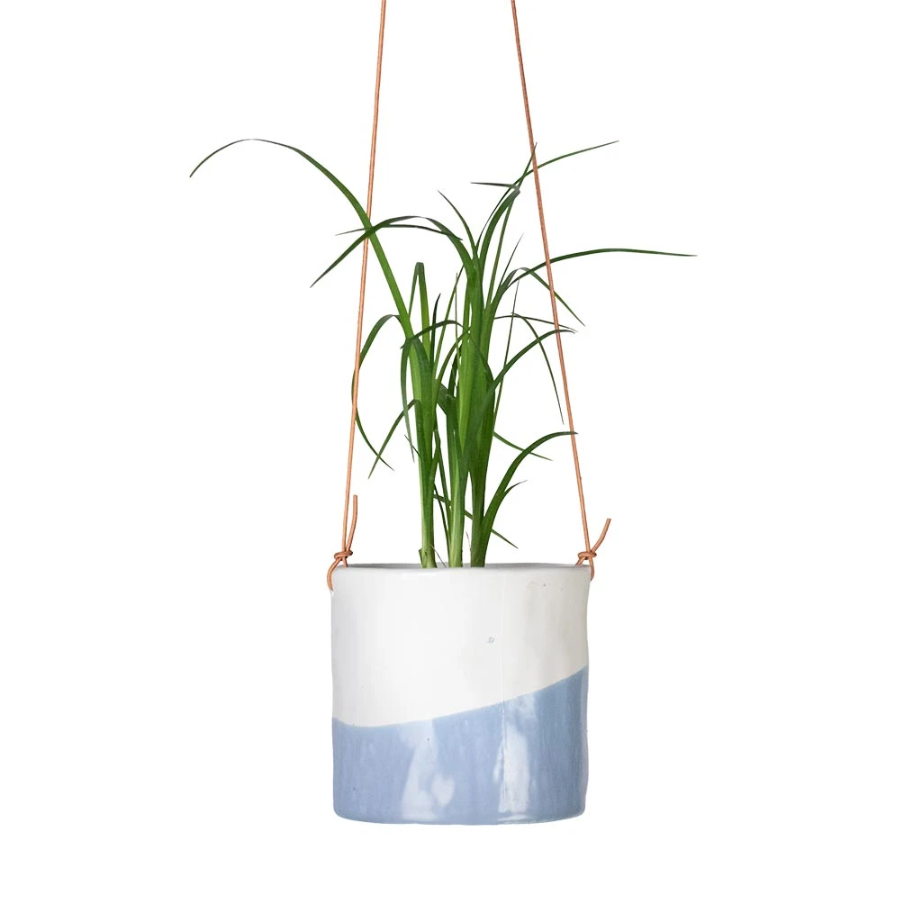 Dip Glaze Ceramic Hanging Indoor Plant Pot β Blue & White Stoneware with Leather Cord 3 Dip Glaze Ceramic Hanging Indoor Plant Pot β Blue & White Stoneware with Leather Cord - Image 3