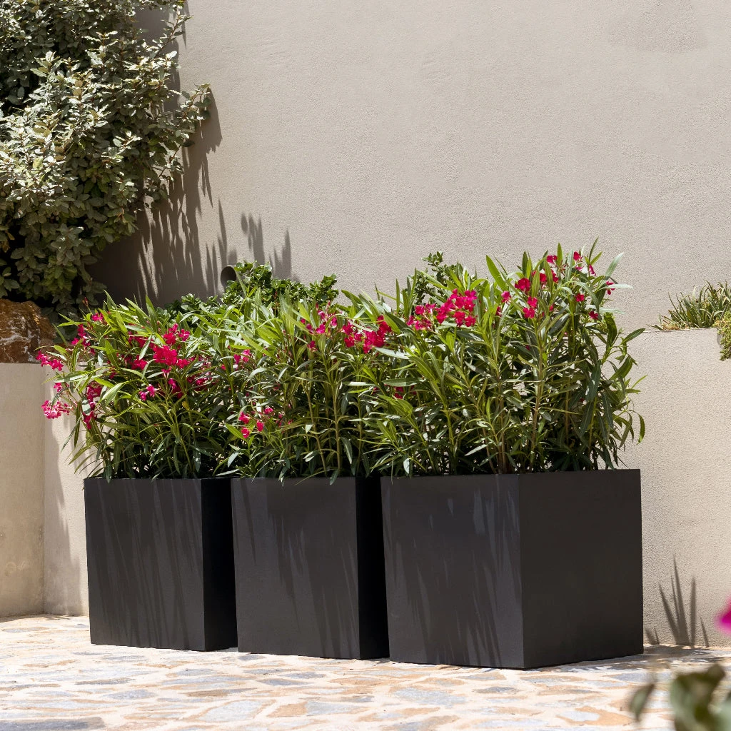 Block Natural Planter - Black 7 Block Natural Planter - Black - Image 7