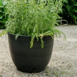 Bola Artstone Plant Pot - Black -HORTOLOGY Plants Sale Bola Artstone Plant Pot Black 3