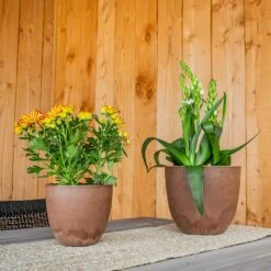 Bola Artstone Plant Pot - Oak -HORTOLOGY Plants Sale Bola oak 04