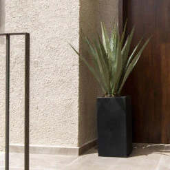 Bouvy Natural Planter - Black 12 Bouvy Natural Planter - Black -HORTOLOGY Plants Sale Bouvy Natural Planter Black Lifestyle