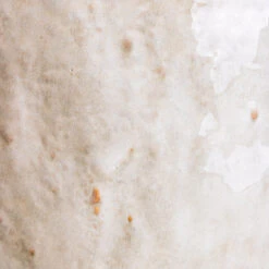 Brian Plant Pot - Ivory 11 Brian Plant Pot - Ivory -HORTOLOGY Plants Sale Brian Pot Ivory SWATCH