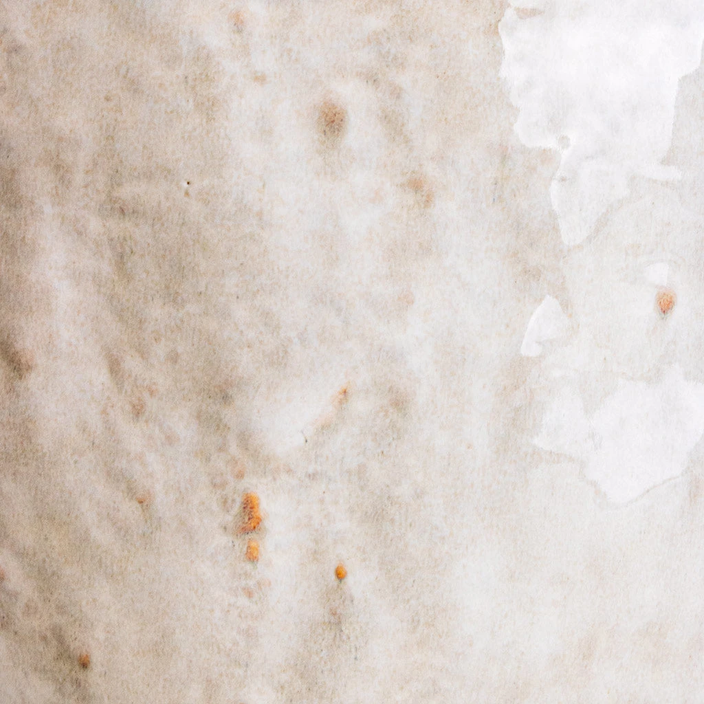 Brian Plant Pot - Ivory 4 Brian Plant Pot - Ivory - Image 4