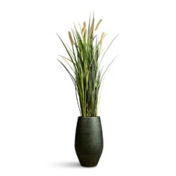 Noor Plant Vase Velvet Green & Metallic Bronze – Textured Ceramic Indoor Pot -HORTOLOGY Plants Sale Cattails Grass Artificial 100cm 8 stems Noor Vase Velvet Green 23x36cm