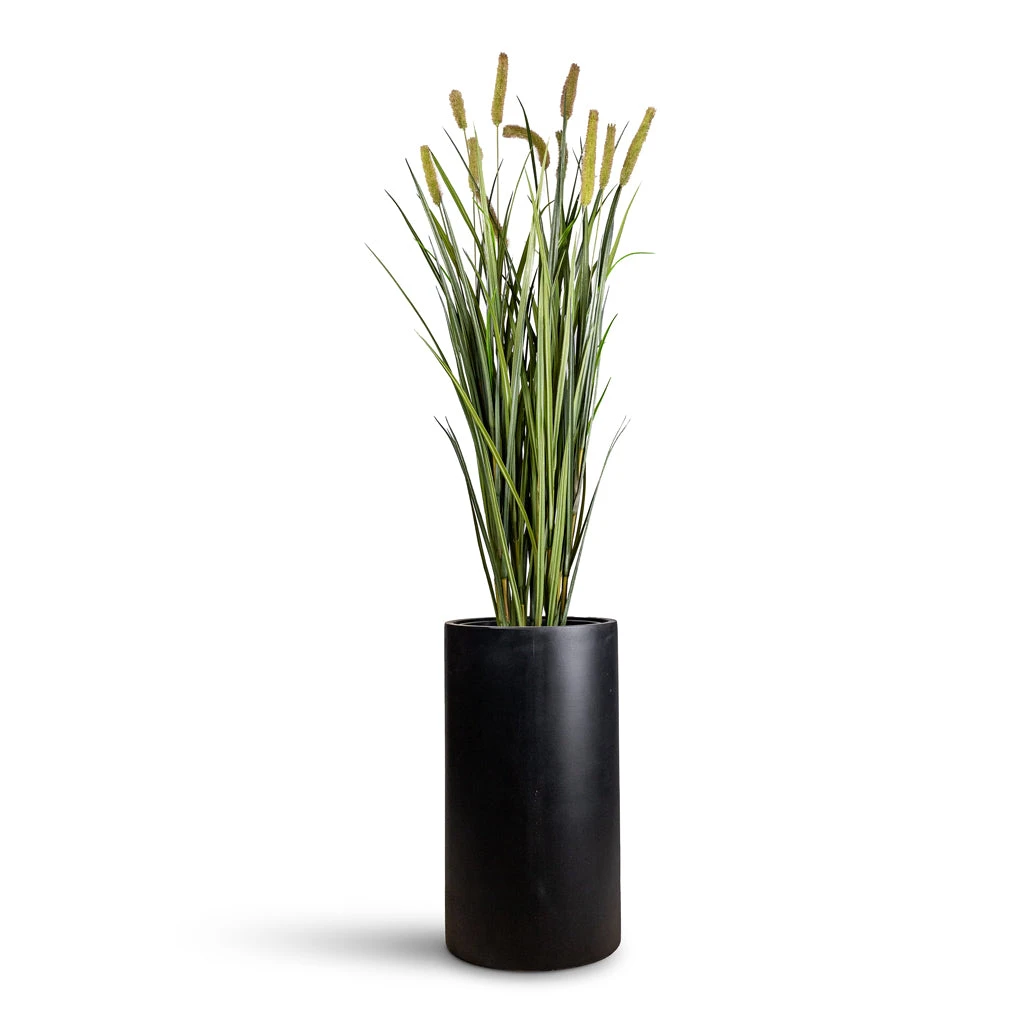 Solid Cylinder Planter - Matt Dark Grey Fiberclay Tall Tubular Indoor Pot 3 Solid Cylinder Planter - Matt Dark Grey Fiberclay Tall Tubular Indoor Pot - Image 3
