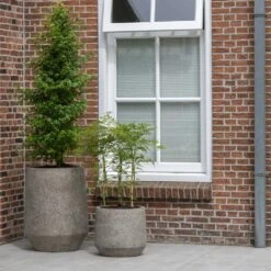 Harith Cement & Stone Plant Pot - Granite Grey 9 Harith Cement & Stone Plant Pot - Granite Grey -HORTOLOGY Plants Sale Cement Stone Harith Plant Pot lifestyle