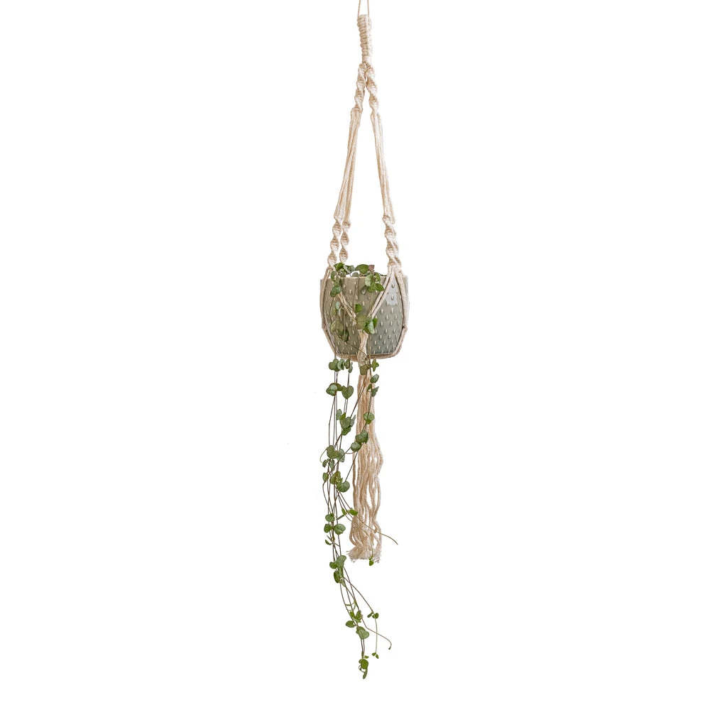 Macrame Hanging Plant Pot 3 Macrame Hanging Plant Pot - Image 3