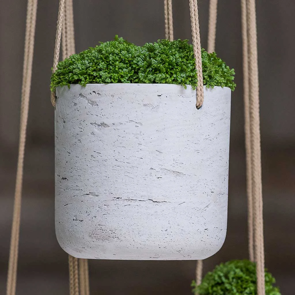 Charlie Hanging Plant Pot - Grey Washed 2 Charlie Hanging Plant Pot - Grey Washed - Image 2