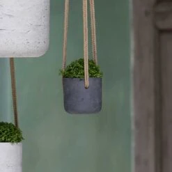 Charlie Hanging Plant Pot - Black Washed -HORTOLOGY Plants Sale Charlie Hanging Plant Pots Black Washed Houseplants