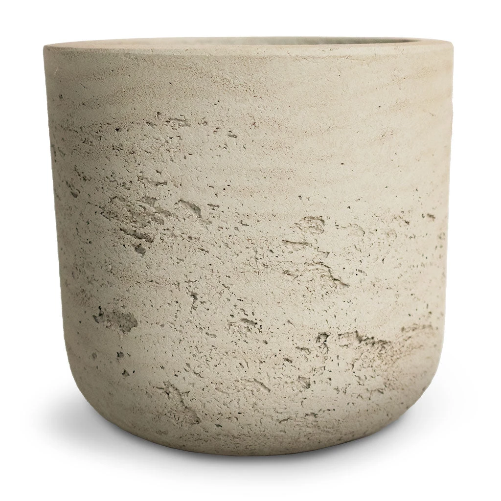 Charlie Plant Pot - Low Stand - Grey Washed 3 Charlie Plant Pot - Low Stand - Grey Washed - Image 3