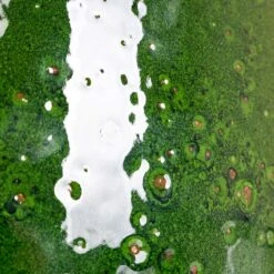 Charlotte Plant Pot - Green 25 Charlotte Plant Pot - Green -HORTOLOGY Plants Sale Charlotte Green speckles 3