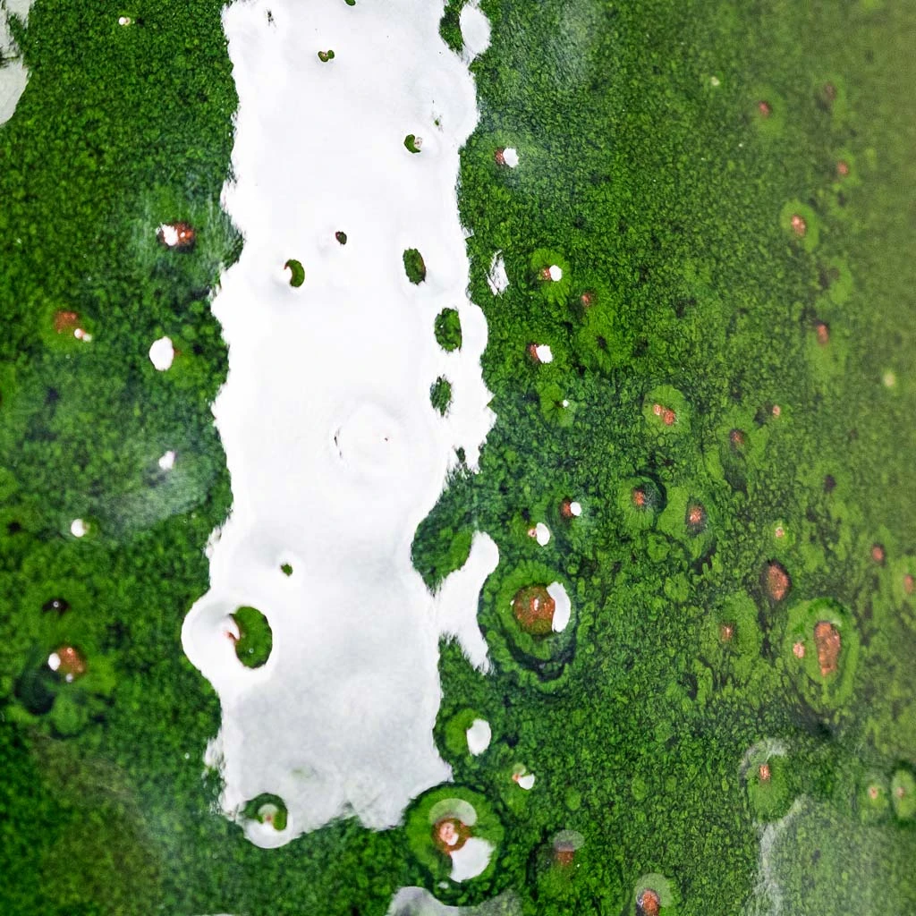 Charlotte Plant Pot - Green 6 Charlotte Plant Pot - Green - Image 6