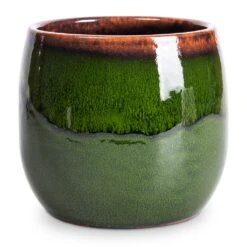 Charlotte Plant Pot - Green 27 Charlotte Plant Pot - Green -HORTOLOGY Plants Sale Charlotte Plant Pot Green 15x13cm