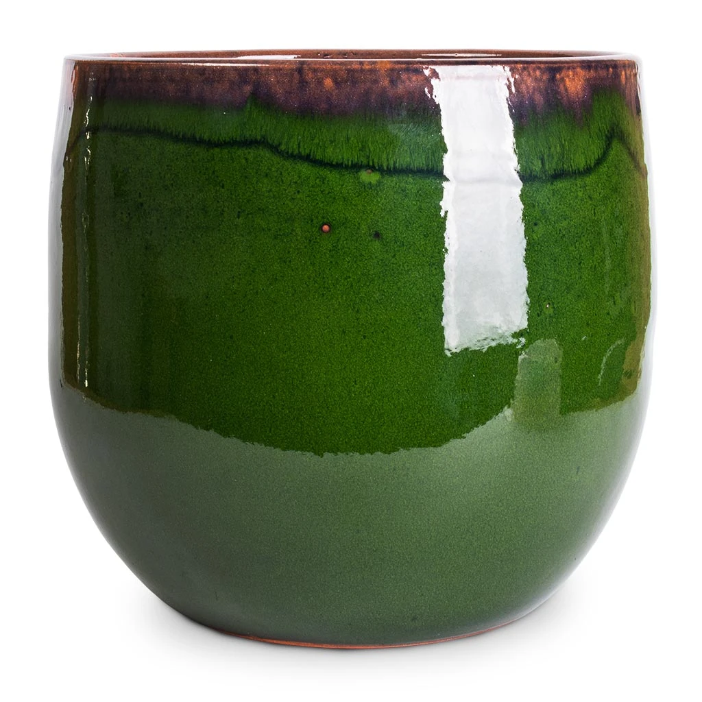 Charlotte Plant Pot - Green 17 Charlotte Plant Pot - Green - Image 17