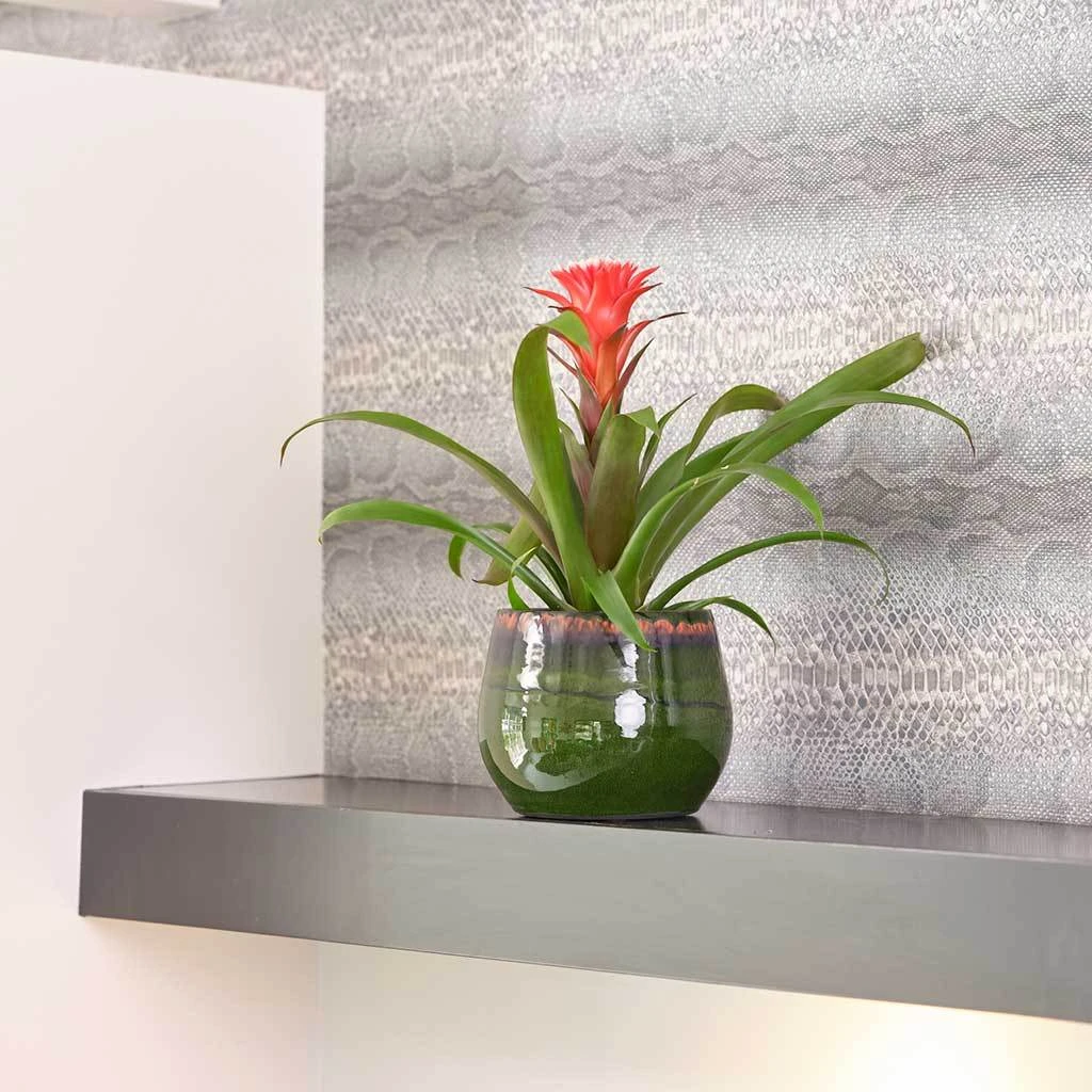 Charlotte Plant Pot - Green 2 Charlotte Plant Pot - Green - Image 2