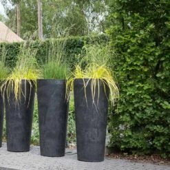 Claire Artstone Tall Planter - Black -HORTOLOGY Plants Sale Claire Artstone Tall Planter Black 1