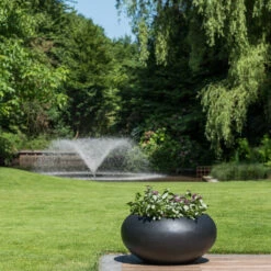 Cora Natural Bowl Planter - Black 12 Cora Natural Bowl Planter - Black -HORTOLOGY Plants Sale CoraNaturalBowlPlanter Black 2