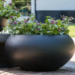 Cora Natural Bowl Planter - Black 11 Cora Natural Bowl Planter - Black -HORTOLOGY Plants Sale CoraNaturalBowlPlanter Black 5