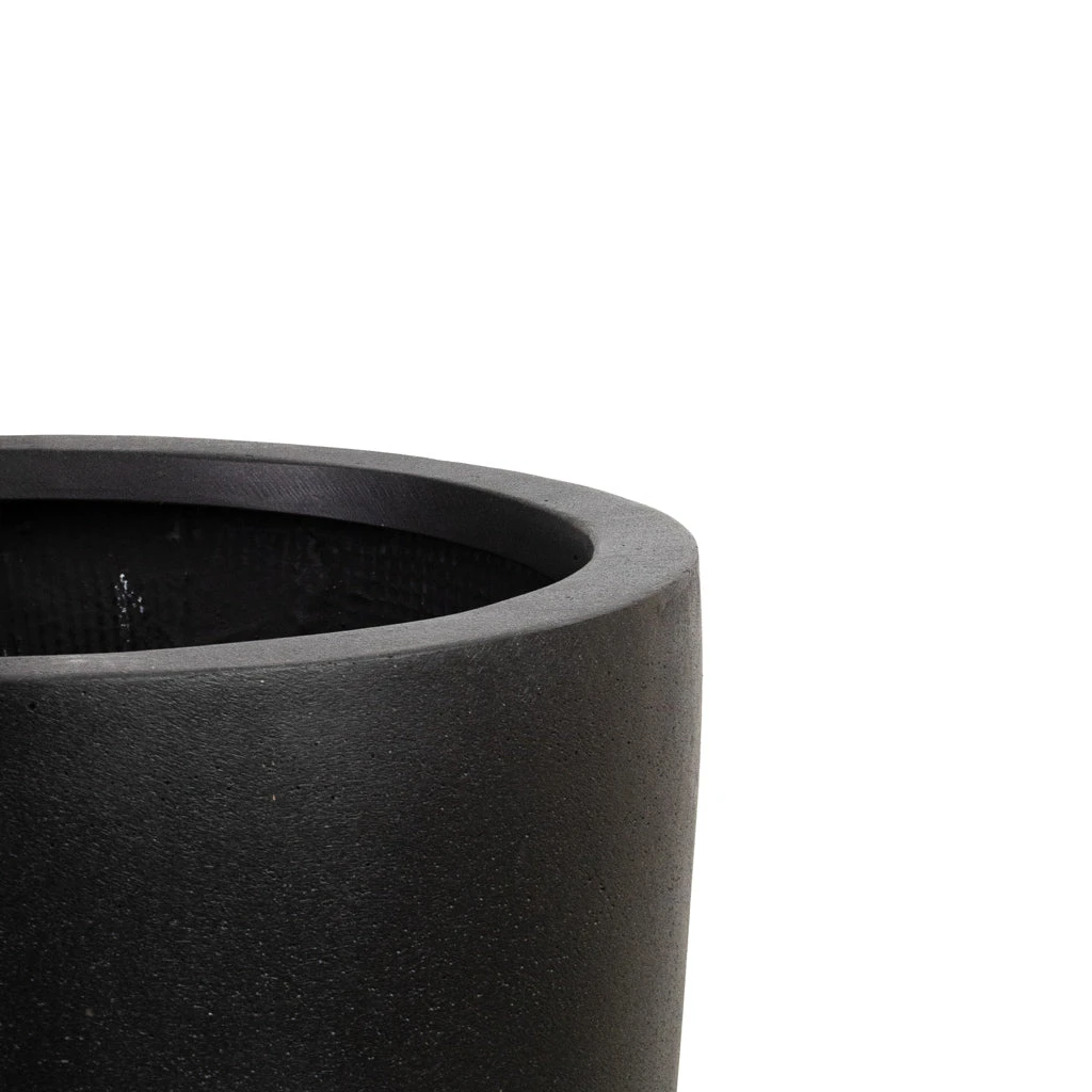 Dax Natural Tall Planter - Black 4 Dax Natural Tall Planter - Black - Image 4