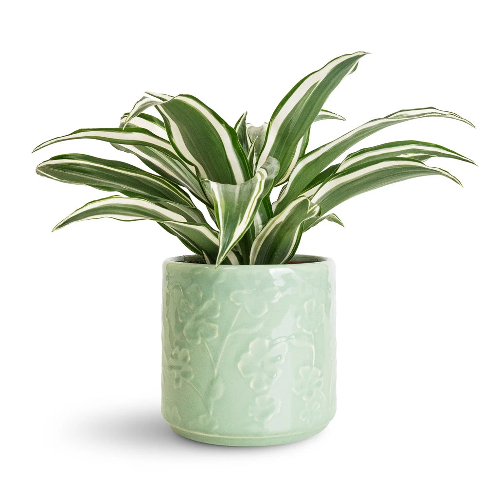 Betsy Embossed Plant Pot - Floral Mint 2 Betsy Embossed Plant Pot - Floral Mint - Image 2