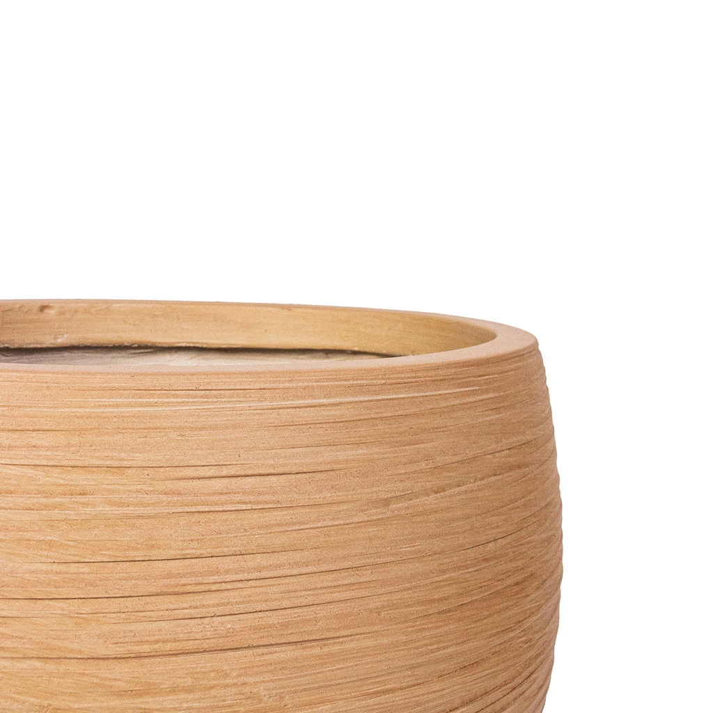 Dune Globe Planter - Almond 6 Dune Globe Planter - Almond - Image 6