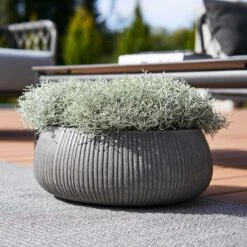 Eileen Ridged Plant Bowl - Dark Grey 8 Eileen Ridged Plant Bowl - Dark Grey -HORTOLOGY Plants Sale Eileen Planter Ridged Dark Grey Outdoor