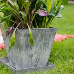 Ella Artstone Grey Matt β Tapered Square Stone Effect Modern Planter 19 Ella Artstone Grey Matt β Tapered Square Stone Effect Modern Planter -HORTOLOGY Plants Sale Ella Artstone Plant Pot Grey 3