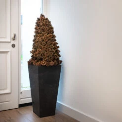 Ella Artstone Tall Planter - Black 9 Ella Artstone Tall Planter - Black -HORTOLOGY Plants Sale Ella Artstone Tall Planter Black 1