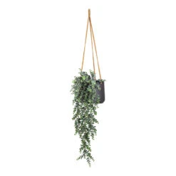 Patt Hanging Plant Pot - Black Washed -HORTOLOGY Plants Sale Eucalypthus Hanging Bush Artificial 75cm Patt Hanging Pot Black Washed 20x17cm