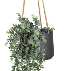 Patt Hanging Plant Pot - Black Washed -HORTOLOGY Plants Sale Eucalyptus Hanging Bush Artificial 75cm Patt Hanging Pot Black Washed 20x17cm 2