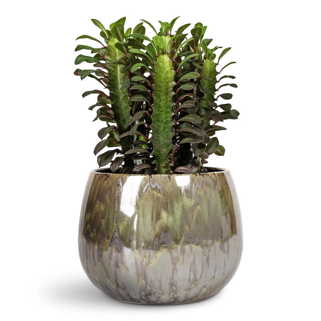 Odile Plant Pot - Green 2 Odile Plant Pot - Green - Image 2