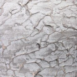 Evi Plant Pot - Antique Silver -HORTOLOGY Plants Sale Evi Plant Pot Antique Silver Swatch