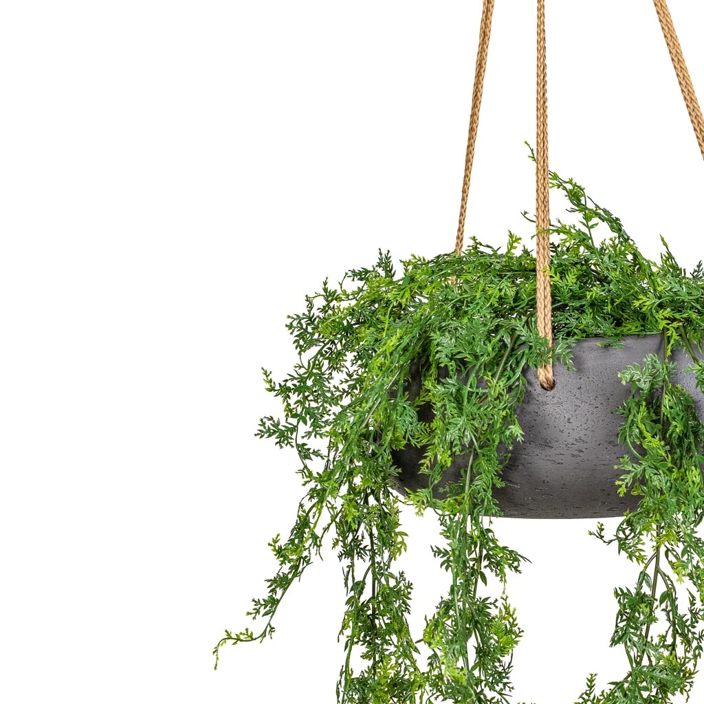 Eileen Hanging Plant Bowl - Black Washed 2 Eileen Hanging Plant Bowl - Black Washed - Image 2