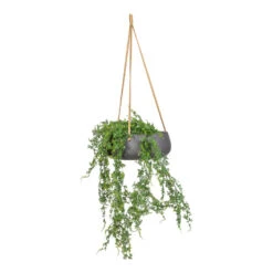 Eileen Hanging Plant Bowl - Black Washed 12 Eileen Hanging Plant Bowl - Black Washed -HORTOLOGY Plants Sale Fern Hanging Bush UV Resistant Artificial 80cm Eileen Hanging Bowl Black Washed 29x11cm