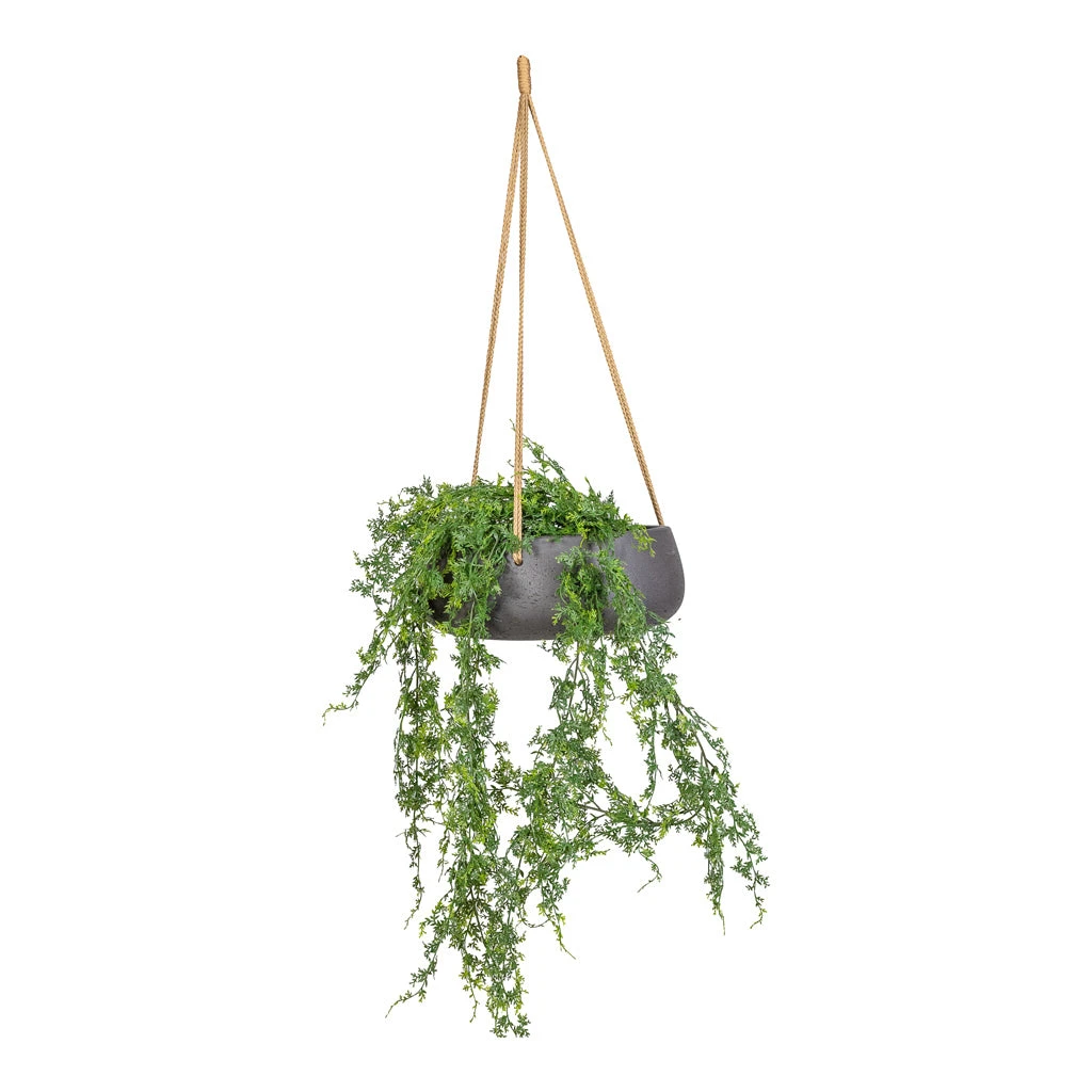 Eileen Hanging Plant Bowl - Black Washed 5 Eileen Hanging Plant Bowl - Black Washed - Image 5