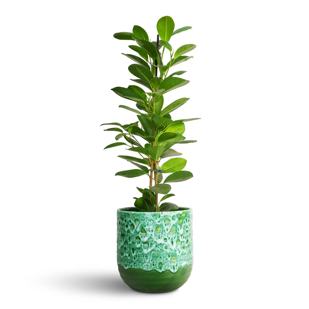 Ocean Glaze Plant Pot - Emerald 5 Ocean Glaze Plant Pot - Emerald - Image 5
