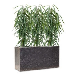 Terrazzo Trough Planter - Black -HORTOLOGY Plants Sale Ficus Terrazo Trough Black