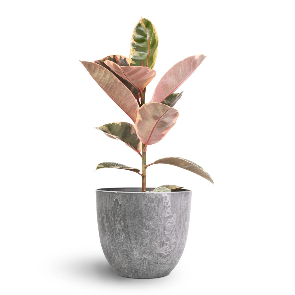 Bola Artstone Plant Pot - Grey 4 Bola Artstone Plant Pot - Grey - Image 4