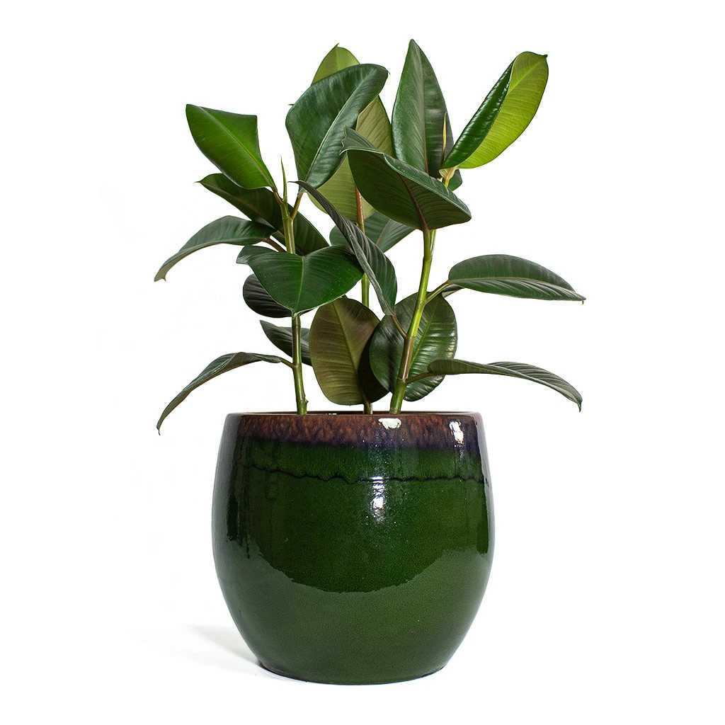 Charlotte Plant Pot - Green 18 Charlotte Plant Pot - Green - Image 18