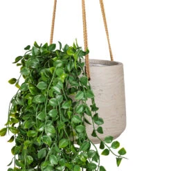 Patt Grey Washed Fibreclay Hanging Plant Pot β Rugged Tapered Indoor & Outdoor Planter 21 Patt Grey Washed Fibreclay Hanging Plant Pot β Rugged Tapered Indoor & Outdoor Planter -HORTOLOGY Plants Sale Ficus pumila Hanging Bush Artificial 80cm 6 stems Patt Hanging Pot Grey Washed 20x17cm 2