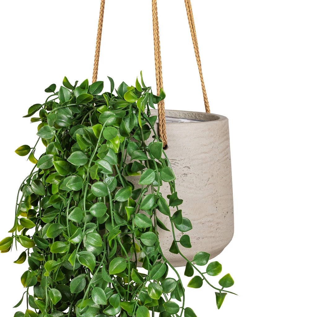 Patt Grey Washed Fibreclay Hanging Plant Pot β Rugged Tapered Indoor & Outdoor Planter 3 Patt Grey Washed Fibreclay Hanging Plant Pot β Rugged Tapered Indoor & Outdoor Planter - Image 3