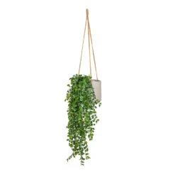 Patt Grey Washed Fibreclay Hanging Plant Pot β Rugged Tapered Indoor & Outdoor Planter 27 Patt Grey Washed Fibreclay Hanging Plant Pot β Rugged Tapered Indoor & Outdoor Planter -HORTOLOGY Plants Sale Ficus pumila Hanging Bush Artificial 80cm 6 stems Patt Hanging Pot Grey Washed 20x17cm